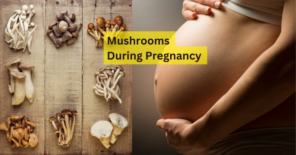 Mushrooms During Pregnancy What You Need to Know